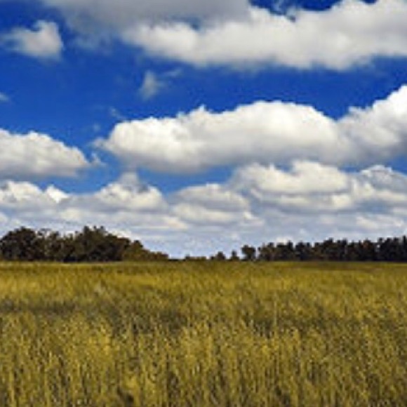 Meet your Posher, Kelly - Picture 1 of 1